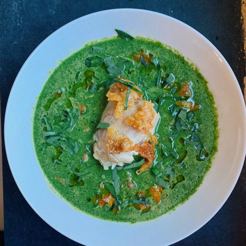 Poached Chicken and Foraged Soup 2