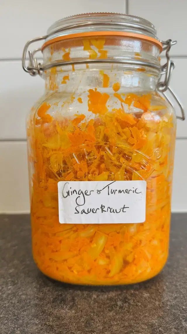 GUT HEALTH WORKSHOP @griffin_estate_wiltshire May 8th. Tickets available now - link in bio! 

Join us for a hands-on Fermentation Workshop & 2-course Gut-Nourishing Lunch at The Gathering Space, Griffin Estate.

May 8th 
10.15-2pm
£50 

A question that comes up a lot in my fermentation workshops is whether the salt in these recipes is harmful to health. In most cases, adding salt to whole foods, especially vegetables with potassium like cabbage or carrots, isn’t a concern. Potassium helps balance out the effects of sodium, which is why foods like sauerkraut can actually be beneficial for our health.

This is a spin on my classic sauerkraut recipe using ginger and turmeric as extra flavours and nourishment. 

Turmeric & Ginger Kraut 

1 White Cabbage & Carrot  Mix 
Sea Salt 
1 tsp Turmeric 
1 tbsp Freshly Chopped Ginger 

Remove the outer leaves of cabbage and shred the rest along with the core.

Weigh the shredded cabbage and calculate 2% salt (2g per 100g cabbage). Mix the cabbage, salt, and turmeric and ginger, massaging the mixture until the salt dissolves and cabbage breaks down.

Pack the cabbage tightly into a jar, using reserved leaves or chopped carrot and gineger to press it down. Ensure the sauerkraut is covered in the brine; make more if needed (50ml water + 1g salt). Ferment at room temperature for 5-7 days; release pressure if the jar hisses. The longer you leave it, the sourer it will taste.  Once the desired flavour is reached, transfer it to the fridge.

#fermentation #sauerkraut #guthealthy #guthealthmatters #cabbage #fermentedfoods